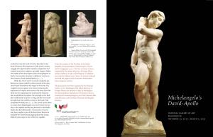 Michelangelo's David Apollo Brochure