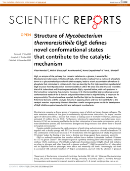 Structure of Mycobacterium Thermoresistibile Glge Defines