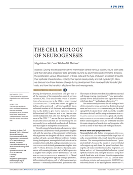 The Cell Biology of Neurogenesis