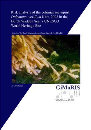 Risk Analysis of the Colonial Sea-Squirt Didemnum Vexillum Kott, 2002 in the Dutch Wadden Sea, a UNESCO World Heritage Site