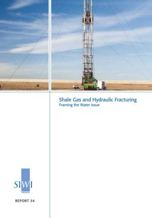 Shale Gas and Hydraulic Fracturing: Framing the Water Issue