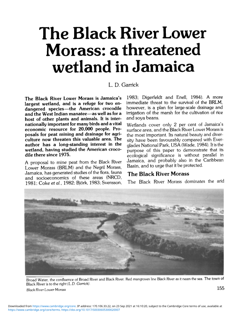 The Black River Lower Morass: a Threatened Wetland in Jamaica