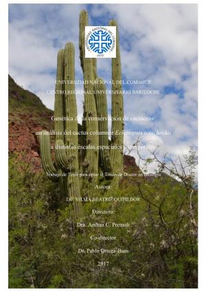 Un Análisis Del Cactus Columnar Echinopsis Terscheckii a Distintas