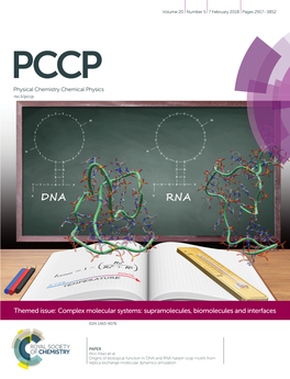 Origins of Biological Function in DNA and RNA Hairpin Loop Motifs from Replica Exchange Molecular Dynamics Simulation PCCP