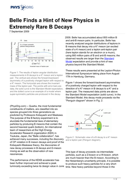 Belle Finds a Hint of New Physics in Extremely Rare B Decays 7 September 2009