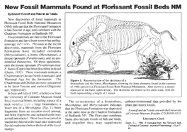 New Fossil Mammals Found at Florissant Fossil Beds NM by Emmett Evanoff and Peter M