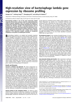 High-Resolution View of Bacteriophage Lambda Gene Expression by Ribosome Proﬁling