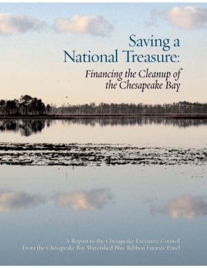 Saving a National Treasure: Financing the Cleanup of the Chesapeake Bay