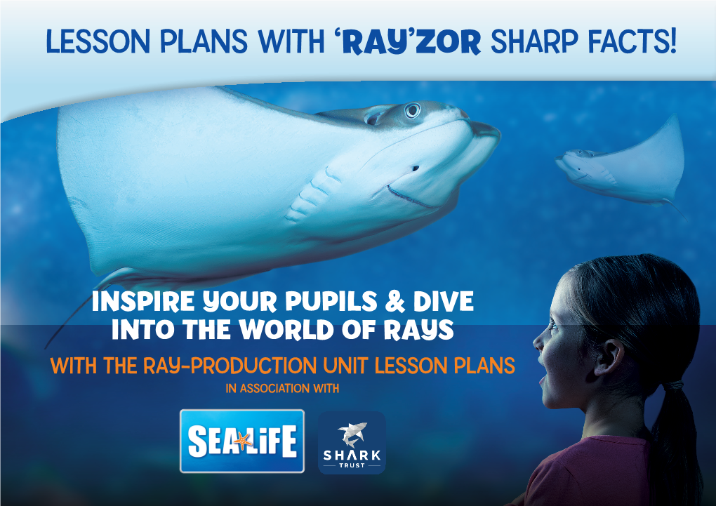 Lesson Plans with ‘Ray’Zor Sharp Facts!