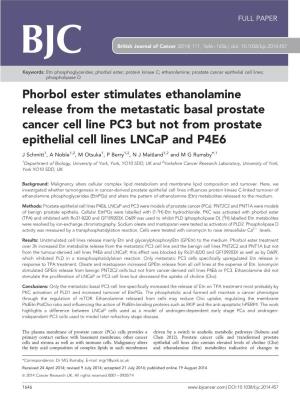 Phorbol Ester Stimulates Ethanolamine Release from the Metastatic Basal Prostate Cancer Cell Line PC3 but Not from Prostate Epithelial Cell Lines Lncap and P4E6