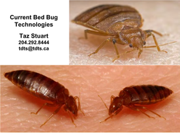 Current Bed Bug Technologies Taz Stuart