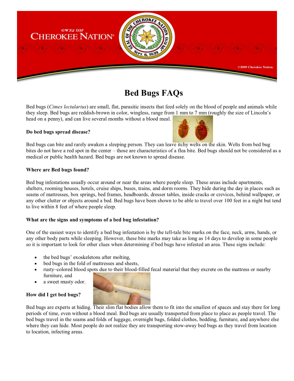 Bed Bugs Faqs