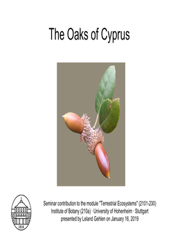 6 the Oaks of Cyprus