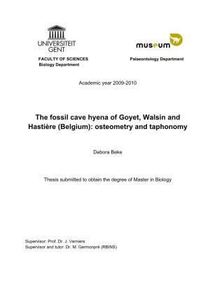 Fossil Cave Hyena of Goyet, Walsin and Hastière (Belgium): Osteometry and Taphonomy