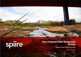 Tatura Integrated Water Management Strategy