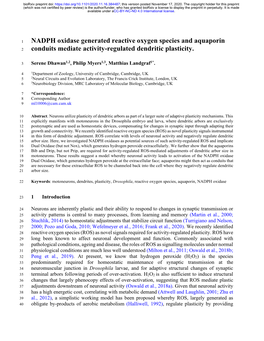 NADPH Oxidase Generated Reactive Oxygen Species and Aquaporin 2 Conduits Mediate Activity-Regulated Dendritic Plasticity