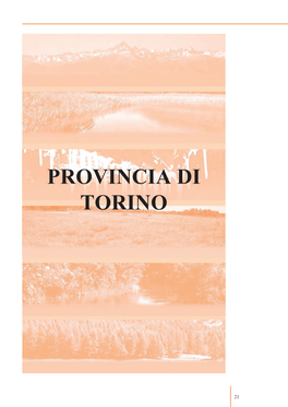 Provincia Di Torino