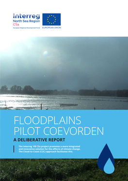 Floodplains Pilot Coevorden, a Deliberative Report