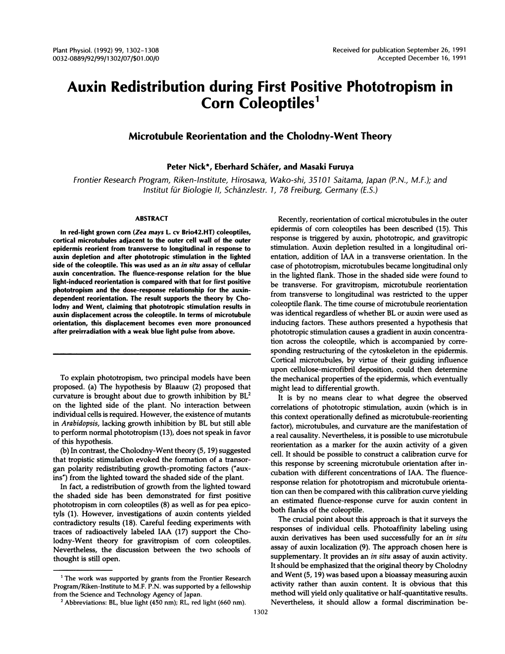 Auxin Redistribution During First Positive Phototropism in Corn Coleoptiles1