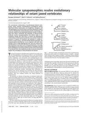 Molecular Synapomorphies Resolve Evolutionary Relationships of Extant Jawed Vertebrates