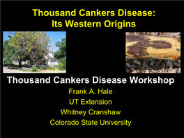 Thousand Cankers Disease: Its Western Origins