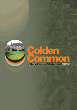 Villagedesignstatement2012