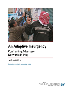 An Adaptive Insurgency Confronting Adversary Networks in Iraq