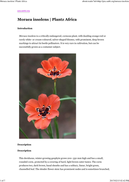 Moraea Insolens | Plantz Africa About:Reader?Url=