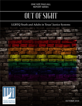 Out of Sight LGBTQ Youth and Adults in Texas Justice Systems.Pdf