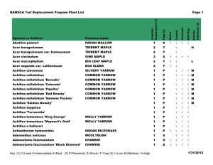 BAWSCA Turf Replacement Program Plant List Page 1 Species Or
