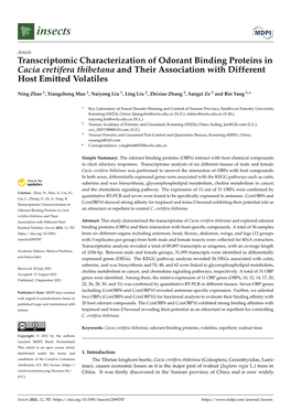 Transcriptomic Characterization of Odorant Binding Proteins in Cacia Cretifera Thibetana and Their Association with Different Host Emitted Volatiles