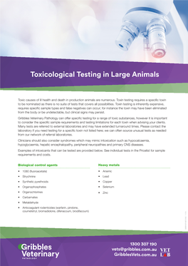 Toxicological Testing in Large Animals