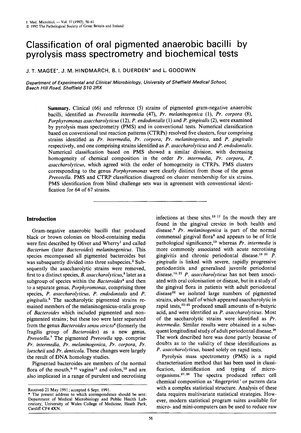 Classification of Oral Pigmented Anaerobic Bacilli by Pyrolysis Mass Spectrometry and Biochemical Tests