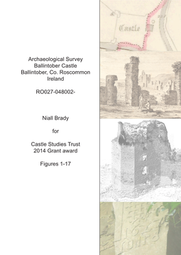 Ballintober Castle Survey Figure 1-17
