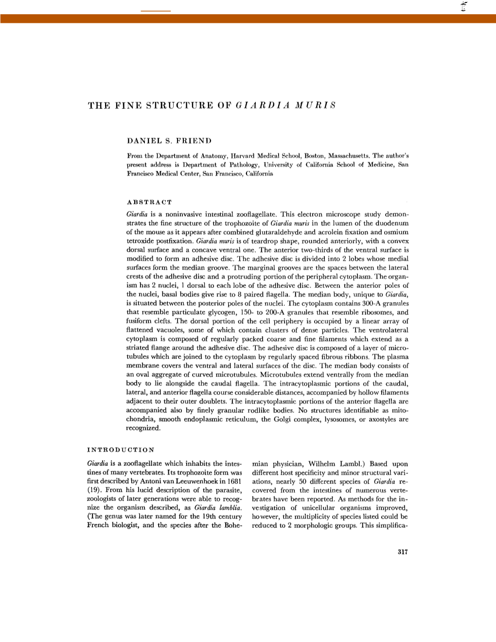 The Fine Structure of Giardia Muris