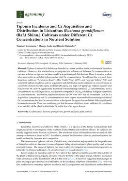 Tipburn Incidence and Ca Acquisition and Distribution in Lisianthus (Eustoma Grandiflorum (Raf.) Shinn.) Cultivars Under Differe