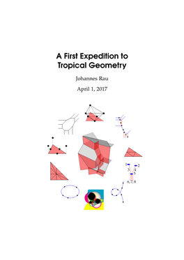A First Expedition to Tropical Geometry