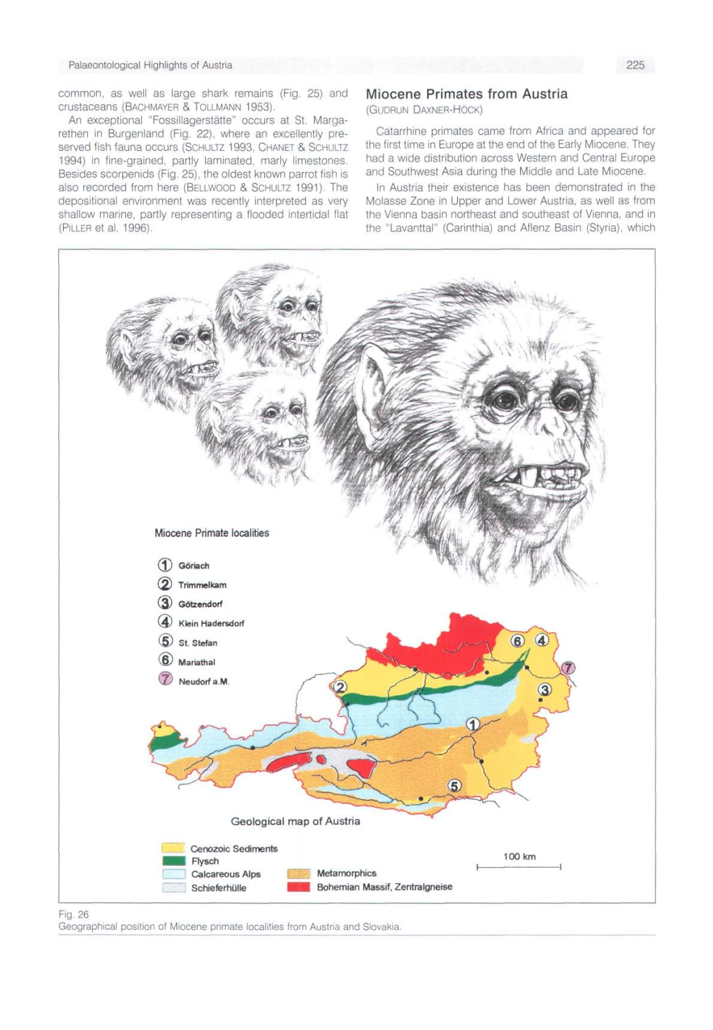 Miocene Primates from Austria Crustaceans (BACHMAYER & TOLLMANN 1953)