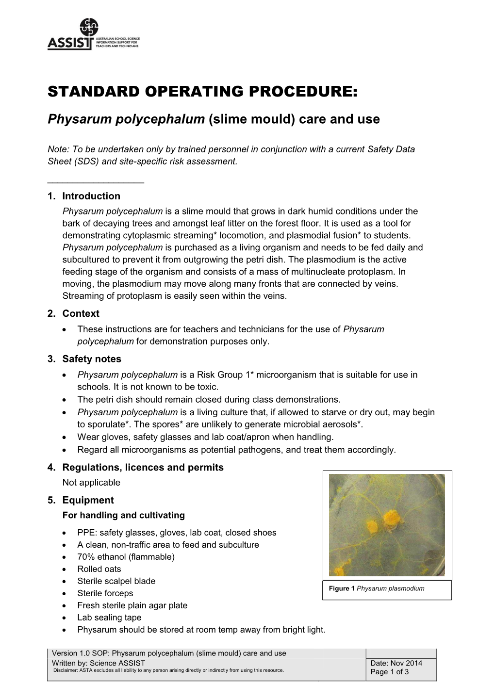 SOP Physarum Polycephalum