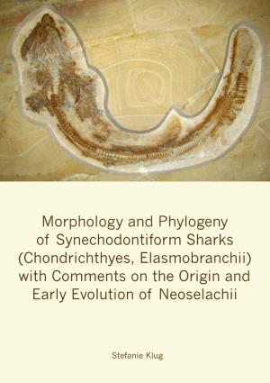 Morphology and Phylogeny of Synechodontiform Sharks (Chondrichthyes, Elasmobranchii) with Comments on the Origin and Early Evolution of Neoselachii