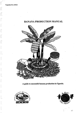 Banana Production Ual