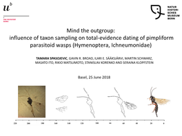 Influence of Taxon Sampling on Total-Evidence Dating of Pimpliform Parasitoid Wasps (Hymenoptera, Ichneumonidae)