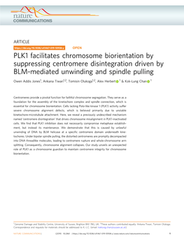 PLK1 Facilitates Chromosome Biorientation by Suppressing Centromere Disintegration Driven by BLM-Mediated Unwinding and Spindle Pulling