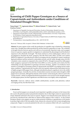 Screening of Chilli Pepper Genotypes As a Source of Capsaicinoids and Antioxidants Under Conditions of Simulated Drought Stress