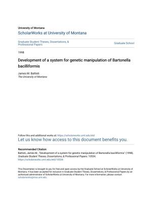 Development of a System for Genetic Manipulation of Bartonella Bacilliformis