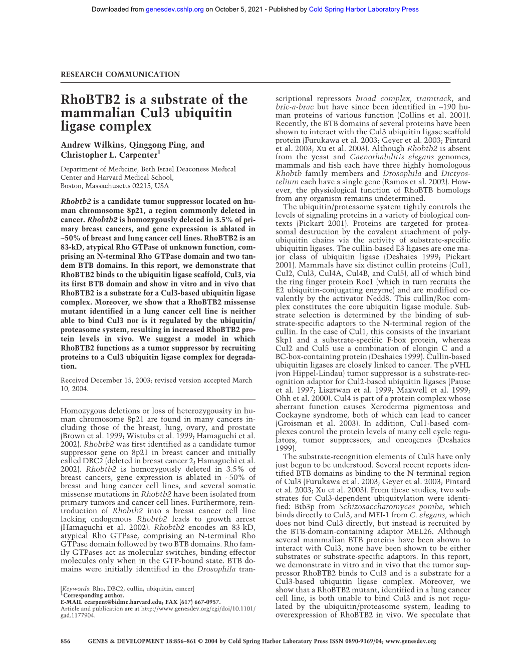 Rhobtb2 Is a Substrate of the Mammalian Cul3 Ubiquitin Ligase Complex