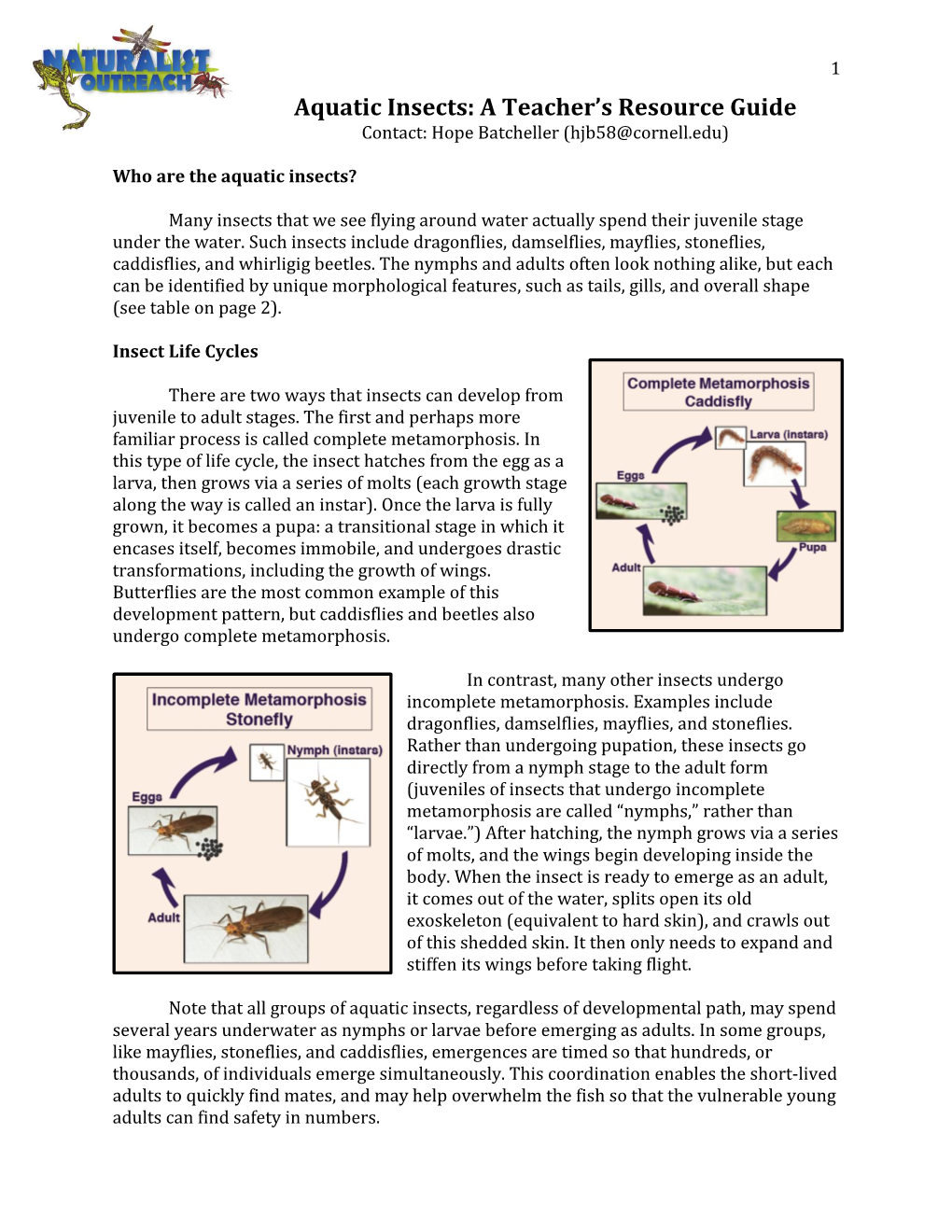 Aquatic Insects: a Teacher's Resource Guide