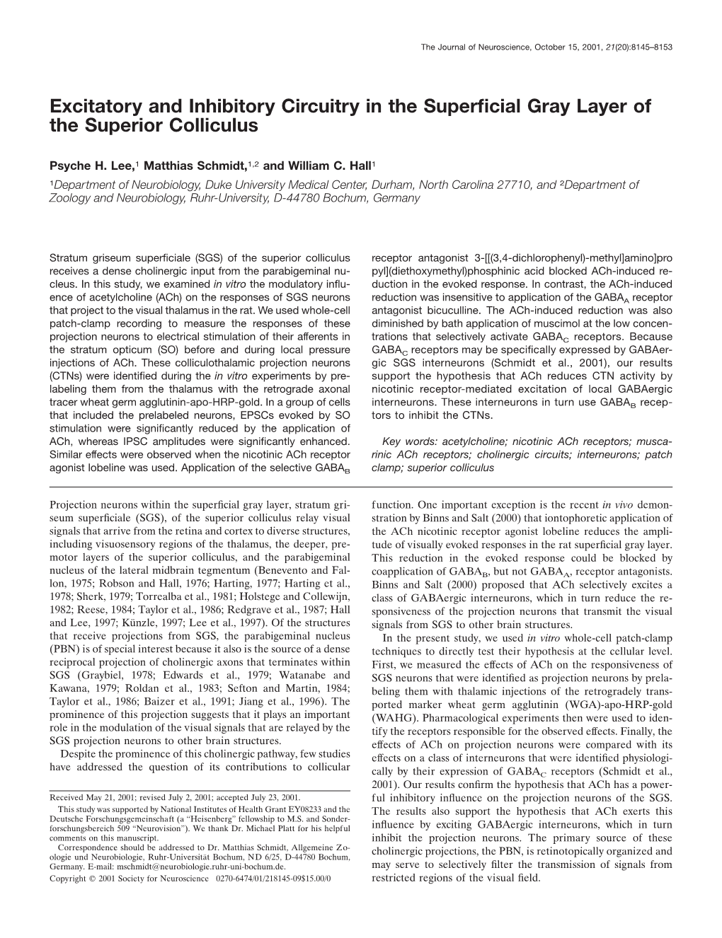 Excitatory and Inhibitory Circuitry in the Superficial Gray Layer of The