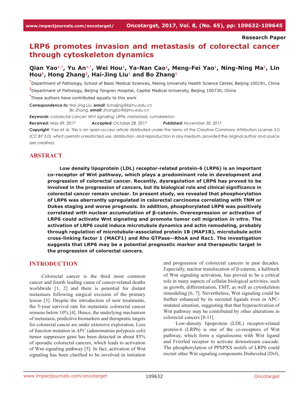 LRP6 Promotes Invasion and Metastasis of Colorectal Cancer Through Cytoskeleton Dynamics