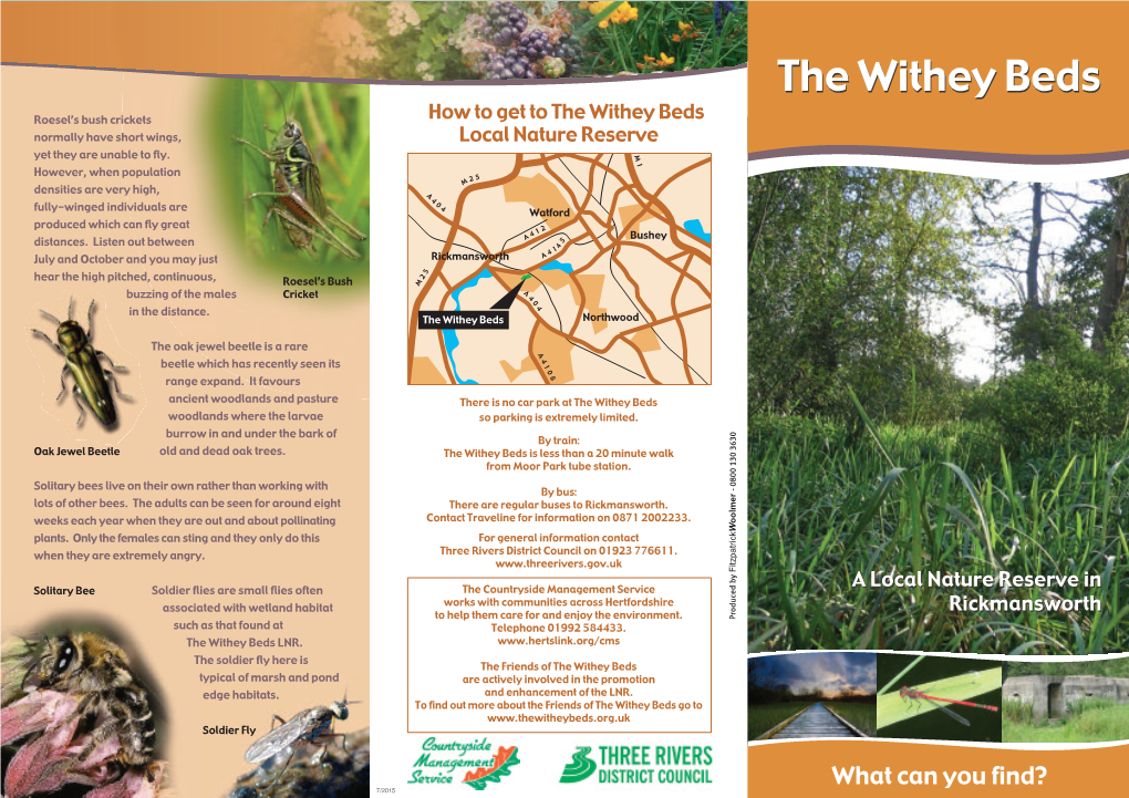 Download Our Leaflet (Pdf)